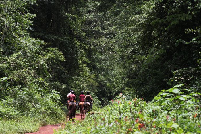 Reit- und Sporterlebnis Uganda
