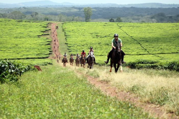 Reit- und Sporterlebnis Uganda