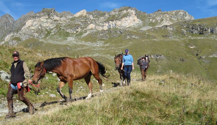Reittouren in den Walliser Alpen