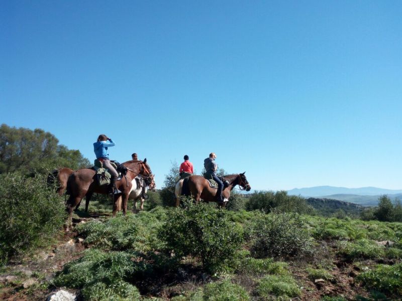 Rancho La Paz - Andalusiergestüt